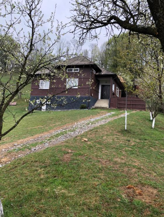 Cabana Hatere Moisei Bagian luar foto