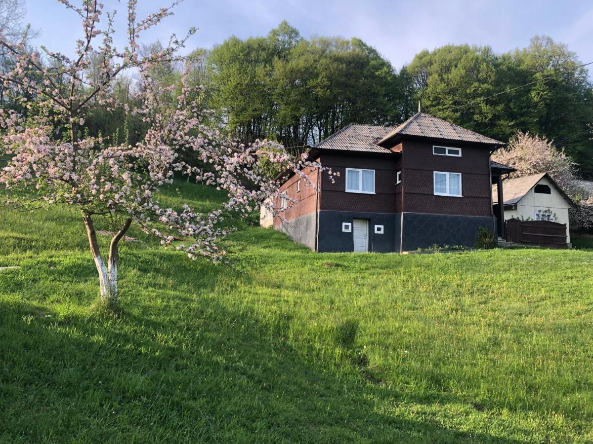 Cabana Hatere Moisei Bagian luar foto
