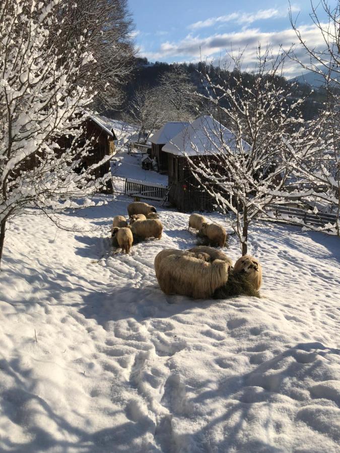 Cabana Hatere Moisei Bagian luar foto